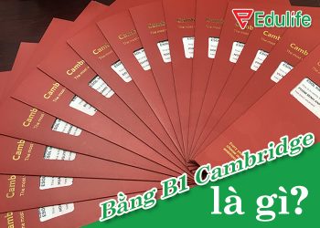 Bằng B1 Cambridge là gì? Luyện thi B1 Cambridge ở đâu?