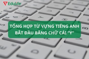 Trọn bộ các từ vựng tiếng Anh bắt đầu bằng chữ y đầy đủ nhất
