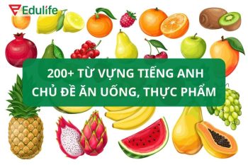 200+ từ vựng chủ đề ăn uống, thực phẩm quan trọng CẦN NHỚ