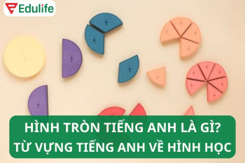 Hình tròn tiếng Anh là gì? Từ vựng hình học tiếng Anh