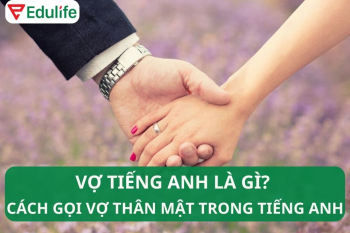 Vợ tiếng Anh là gì? Cách gọi vợ thân mật bằng tiếng Anh 