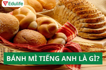 Bánh mì tiếng Anh là gì? Từ vựng các loại bánh mì bánh ngọt tiếng Anh