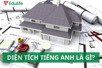 Diện tích tiếng Anh là gì? 40+ từ vựng hình học bằng tiếng Anh
