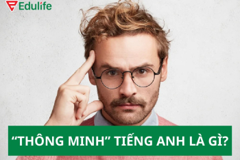Thông minh tiếng Anh là gì? 35+ cách nói thông minh tiếng Anh