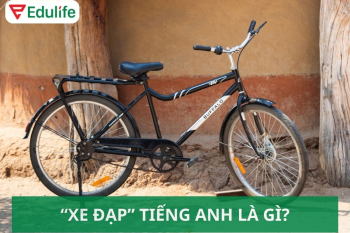 Xe đạp tiếng Anh là gì? Ví dụ và cách sử dụng trong từng trường hợp