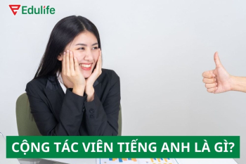 Cộng tác viên tiếng Anh là gì? Từ vựng & ví dụ cụ thể