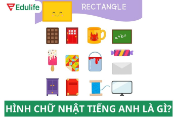 Hình chữ nhật tiếng Anh là gì? Từ vựng về các loại hình trong tiếng Anh