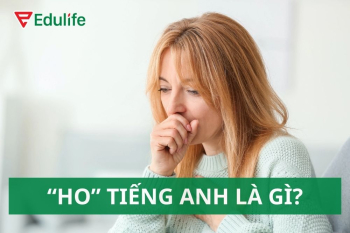 Ho tiếng Anh là gì? Từ vựng 40+ loại bệnh trong tiếng Anh