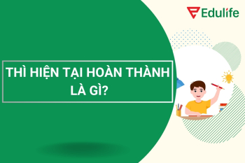 Những điều cần biết về thì hiện tại hoàn thành từ A – Z