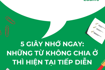 nhung-tu-khong-chia-o-thi-hien-tai-tiep-dien