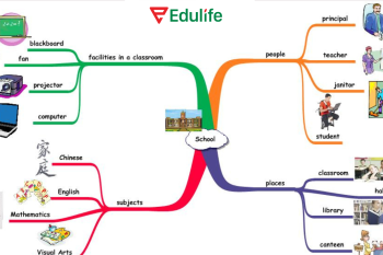 Học tiếng anh cho người mất gốc