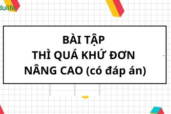 Tuyển tập 20+ bài tập thì quá khứ đơn từ cơ bản đến nâng cao​