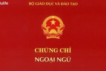 Chinh phục chứng chỉ Vstep cùng Edulife