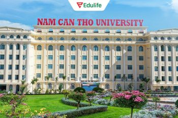 Đại học Nam Cần Thơ là địa chỉ thi VSTEP uy tín tại Cần Thơ