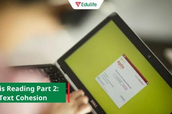 Tìm hiểu chi tiết về bài thi Aptis Reading Part 2