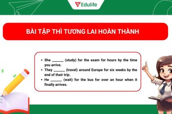 Sưu tầm 20+ bài tập thì tương lai hoàn thành kèm giải chi tiết ​