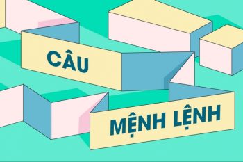 Câu mệnh lệnh