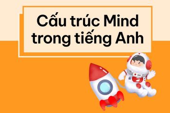 Cấu trúc Mind
