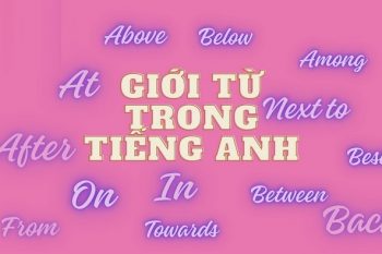 Giới từ trong tiếng Anh là gì? Cách dùng chính xác hiệu quả