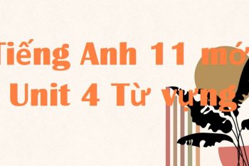 tiếng Anh 11 Unit 4 Từ vựng