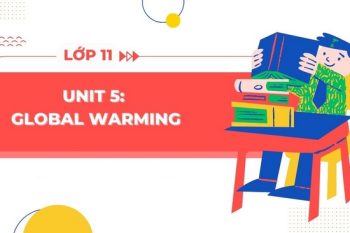 tiếng Anh 11 Unit 5 Từ vựng