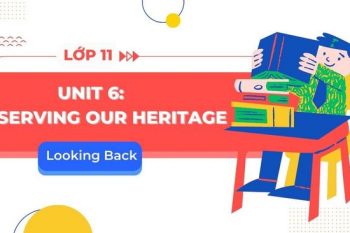 tiếng Anh 11 Unit 6 Looking Back