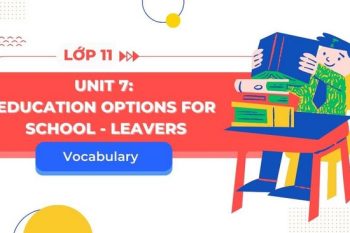 tiếng Anh 11 Unit 7 Từ vựng