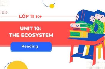 tiếng Anh 11 Unit 10 Reading